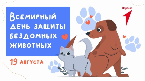 Всемирный День защиты бездомных животных.
